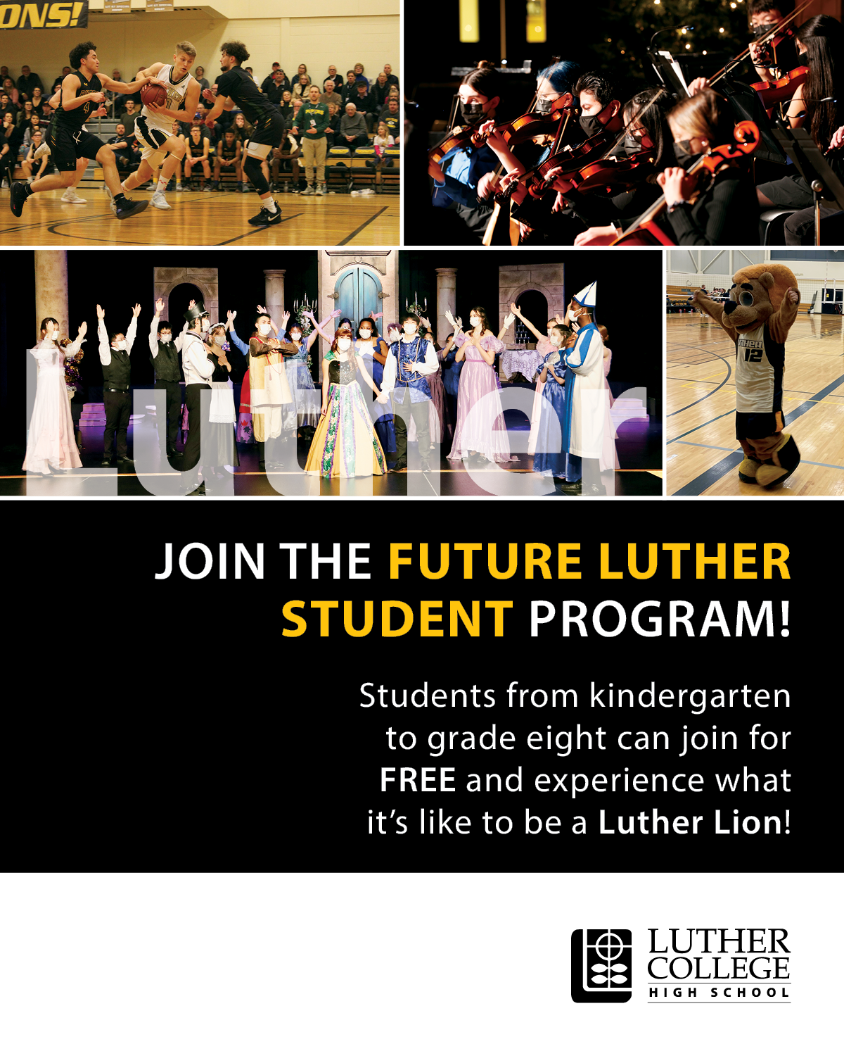 Future Luther Students Program